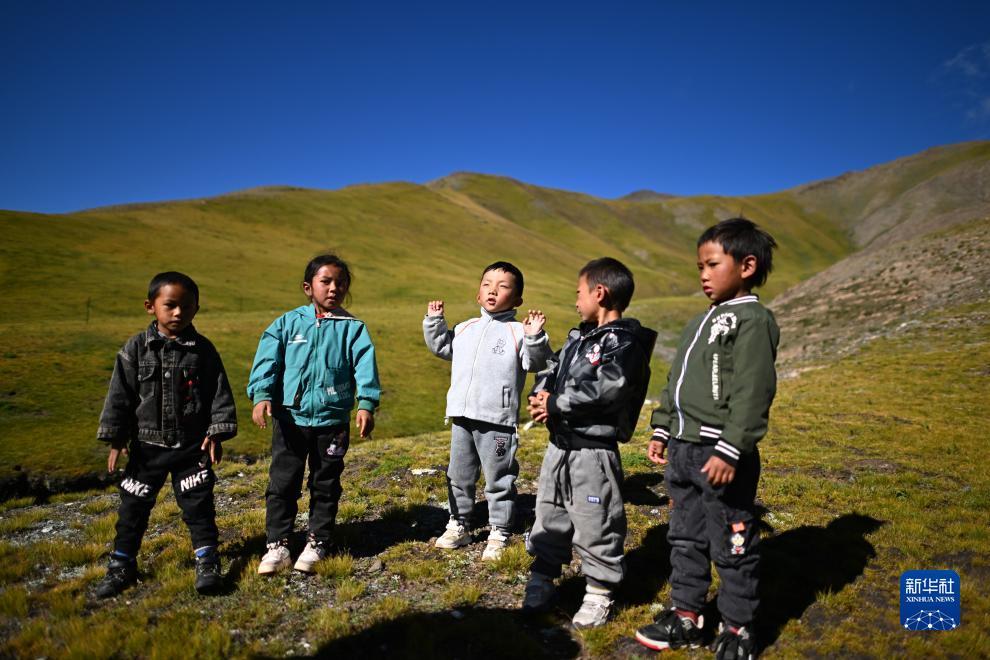 威尼斯在线娱乐网址